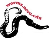 13th Annual NCSU Vermiculture Conference | Biological & Agricultural Engineering, NC State University | Research from the NC Agricultural Research Service | Scoop.it