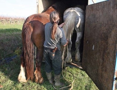 Olivier Cousin, Vigneron in Anjou (Loire) | All about French Wine | Scoop.it