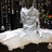 img_Robe, ballerines et tralala