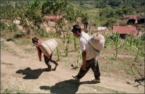 Mexique : Caritas veut relever le d&eacute;fi de l&rsquo;autonomie alimentaire &ndash; SECOURS CATHOLIQUE &ndash; Caritas France | Secours Catholique | Scoop.it