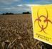 Independent scientists uncover 'toxic' gene hiding in GM crops: Revelation throws new doubt over safety of GM foods | Health Supreme | Scoop.it