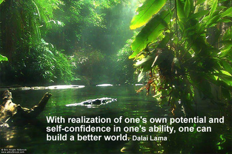 Leadership Mantra:&nbsp;Potential. | Everything you need&hellip; | Scoop.it