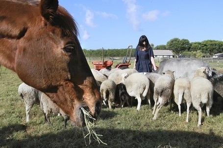Small equals more farming in South Florida - Sun-Sentinel | Vertical Farm - Food Factory | Scoop.it