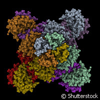 Spotlight on dynamic operation of enzymes - PhysOrg.com | Enzyme reactivity | Scoop.it
