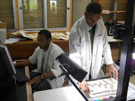 University of Hawaii Museum: Fiji Herbarium (Univ. of the South ... | Herbaria | Scoop.it