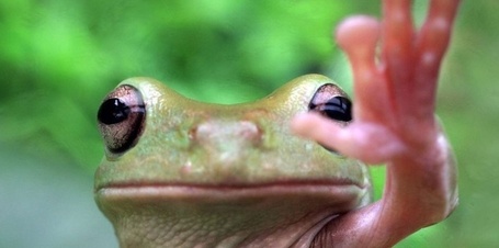 La menace du r&eacute;chauffement climatique sur des esp&egrave;ces encore solides | Biodiversit&eacute; & Relations Homme - Nature - Environnement : Un Scoop.it du Mus&eacute;um de Toulouse | Scoop.it