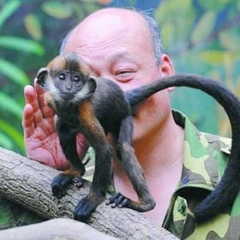 Zoo keeper licked constipated monkey's buttocks for an hour to help it defecate a peanut | MORONS MAKING THE NEWS | Scoop.it