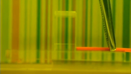 Scientist presents 'invisibility cloak' in California (VIDEO) | MN News Hound | Scoop.it