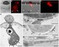 PLoS Pathogens: Sequential Delivery of Host-Induced Virulence Effectors by Appressoria and Intracellular Hyphae of the Phytopathogen Colletotrichum higginsianum | Plant Immunity And Microbial Effectors | Scoop.it