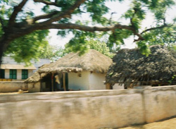 Ministry of Environment & Forests, Government of India | Planet Earth, Environment And Global Warming | Scoop.it