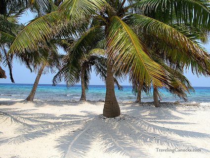 Our Private Island for the Day on the Belize Barrier Reef | Belize in Social Media | Scoop.it