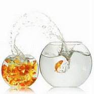 Outstanding Presentations: WebExpo 2011: Presentation Lessons Learned | EDUCAUSE Speaker Concierge | Scoop.it
