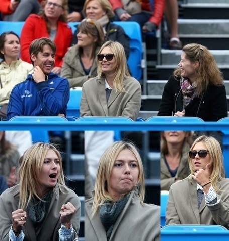 Quand Maria supporte Grigor... | Tennis , actualites et buzz avec fasto-sport.com | Scoop.it