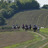 img_Randonn&eacute;es &eacute;questres