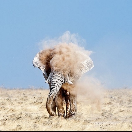 26 Beautiful Photos That You Can't Miss | LOS 40 SON NUESTROS | Scoop.it