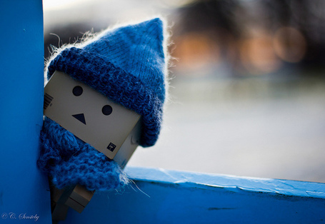 Danbo  on Danbo Playing Hide And Seek   Flickr   Photo Sharing    Best Of Danbo