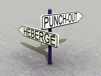 Catalogue &eacute;lectroniques : h&eacute;berg&eacute;s  ou Punch-Out? | Hotnews | Scoop.it