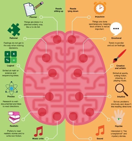 Left vs Right Brain | The Big Picture | Management of complex systems and projects | Scoop.it