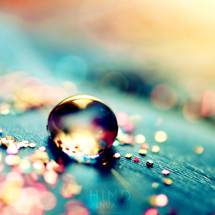 Et bien ca c'est de la Macro !!!!!!!!!!!!!!!! | regard, photo, image | Scoop.it