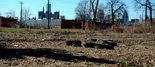 Hantz Farms for-profit urban farm deal to plant trees in Detroit may be near | Vertical Farm - Food Factory | Scoop.it