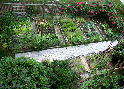 Russia's small-scale organic agriculture model may hold the key to feeding the world ~ RiseEarth | RESOURCE CRISIS AND COOL TECHNOLOGIES! | Scoop.it