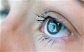 Twitter time-wasters annoy bosses | Telegraph | ICT tips & tools, tracks & trails and... questioning them all ! | Scoop.it
