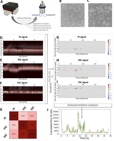 Release Of Extracellular DNA By Pseudomonas Spe