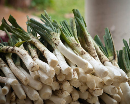Catalan Spring Onion Feast | Catalonia Produce | The Daily Meal | REPUBLIC OF CATALONIA TIMES | Scoop.it