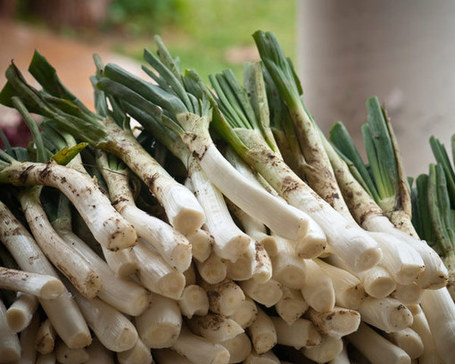 Catalan Spring Onion Feast | Catalonia Produce | The Daily Meal | REPUBLIC OF CATALONIA TIMES | Scoop.it