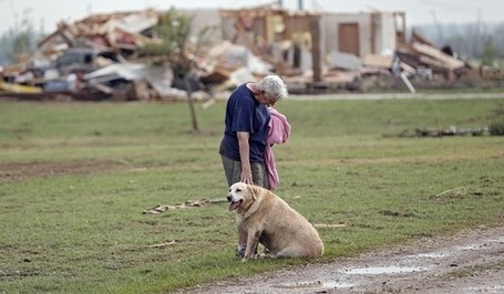 Saving Oklahoma's Pets Through Social Media | Social Media Article Sharing | Scoop.it