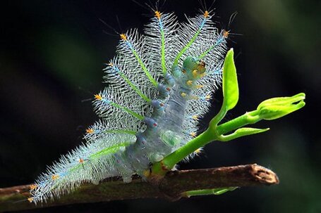 Las espectaculares fotograf&iacute;as de naturaleza de Sam Lim | Periodismo Cient&iacute;fico | Scoop.it