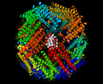 A novel nanobio catalyst for biofuels | leapmind | Scoop.it
