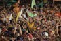 Venezuelan youth could decide if Chavez remains in power | Regional Geography | Scoop.it
