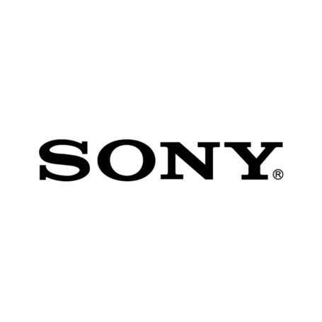Sony Entertainment Spinout &lsquo;Inevitable,&rsquo; Despite Claims to Contrary | Music business | Scoop.it