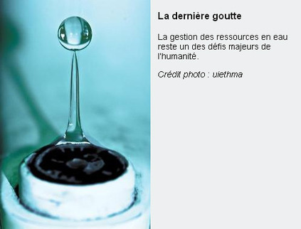 Sur quelle photographie "L'eau &eacute;-moi" arr&ecirc;tez-vous votre regard ? - Le Blog du Mus&eacute;um | Buzzeum | Scoop.it
