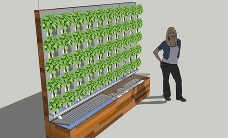 25 Aquaponic Farms in 25 Schools - Let | Sierra Aquaponics | Scoop.it