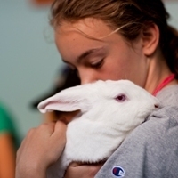 SPCA Animals Summer Camps: Children learn about compassion and empathy when caring for animals | Empathy and Animals | Scoop.it