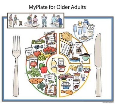 MyPlate For Older Adults | Friedman School Of Nutrition Science And ...