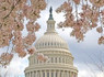 America's Slowest Internet: Does Your State Make The List? | HuffPost Tech | National Broadband News | Scoop.it