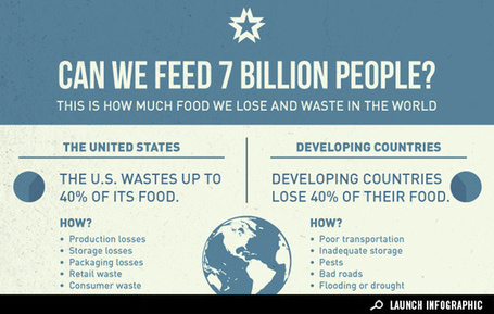 Infographic: How Much Food Nearly 7 Billion People Waste | Sustainable Futures | Scoop.it