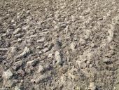 [Jardin] Faut-il retourner le sol ? | La Revue de Technitoit | Scoop.it