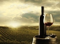 Conf&eacute;rence : &ldquo;Le vin se met au vert&rdquo; | Ressources d'apprentissage gratuites | Scoop.it