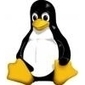 Ibm, nuovo impegno per la strategia PowerLinux - | ImpresaCity | Soluzioni B2B per il mercato delle imprese e per la PA | L'impresa "mobile" | Scoop.it