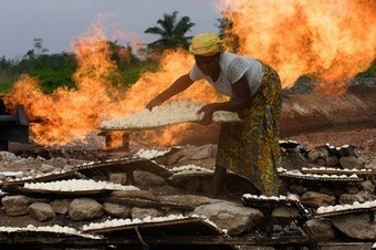 Five Surprising Facts About Energy Poverty | Inclusive Business and Impact Investing | Scoop.it