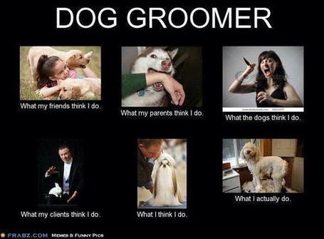 Dog Groomer | What I really do | Scoop.it