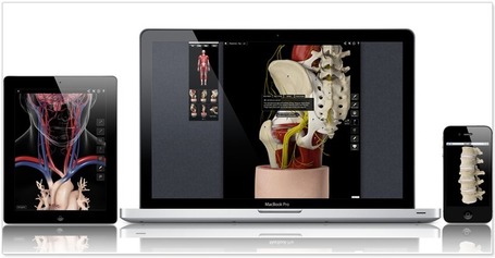 3D4Medical.com : The World's largest, high quality collection of 3D medical images | Curtin iPad User Group | Scoop.it