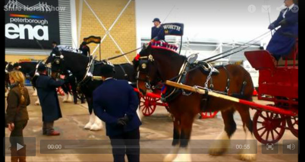 Video/photos: Final shire horse show in Peterborough | Horses
