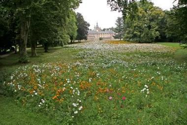 EcoJardin, un label pour les espaces verts &eacute;cologiques - Campagnesetenvironnement.fr | Agroforesterie | Scoop.it