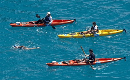 Sharks Absent, Swimmer, 64, Strokes From Cuba to Florida - New York Times (blog) | Sharks | Scoop.it