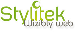 Google devient un moteur s&eacute;mantique | Stylitek wizibly web | WEB 2.0 etc ... | Scoop.it